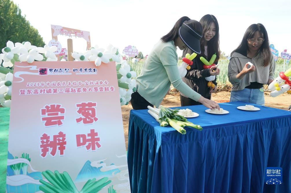 新潮平台登录